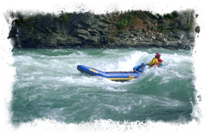 Spreu Otter in action